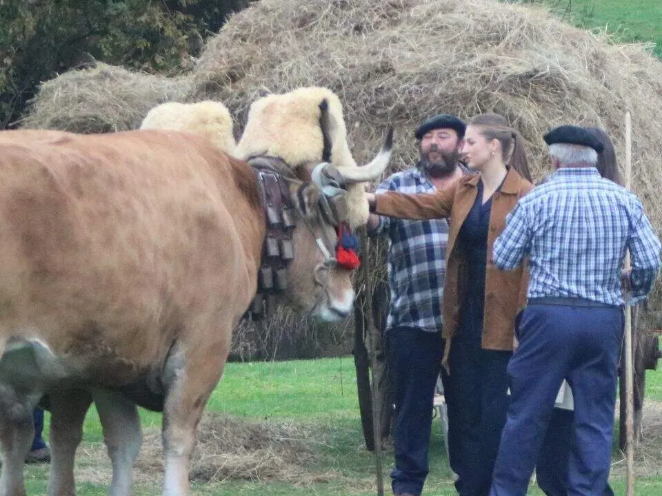 Valdesoto-Pueblo_ejemplar (39)
