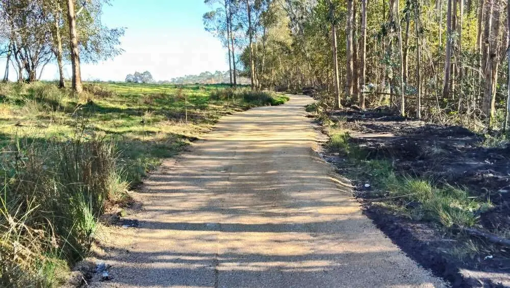 camino-jabunte-vidiago