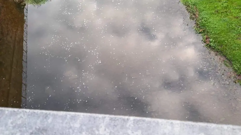 posible-vertido-rio-guena