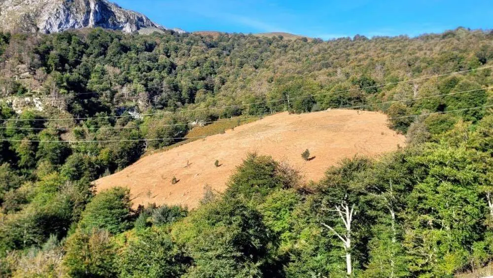 desbroces-amieva-penamellera