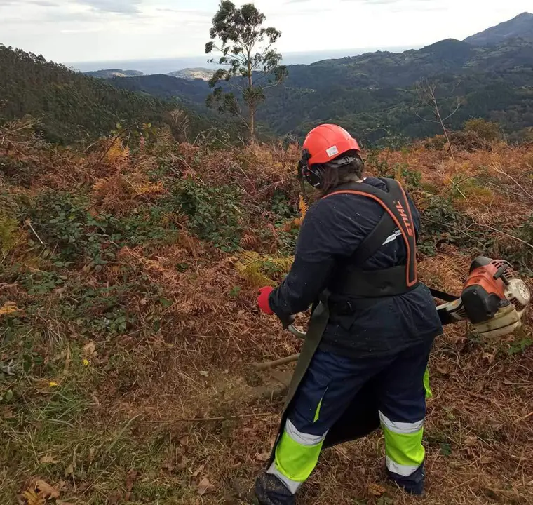 plan-empleo-villaviciosa