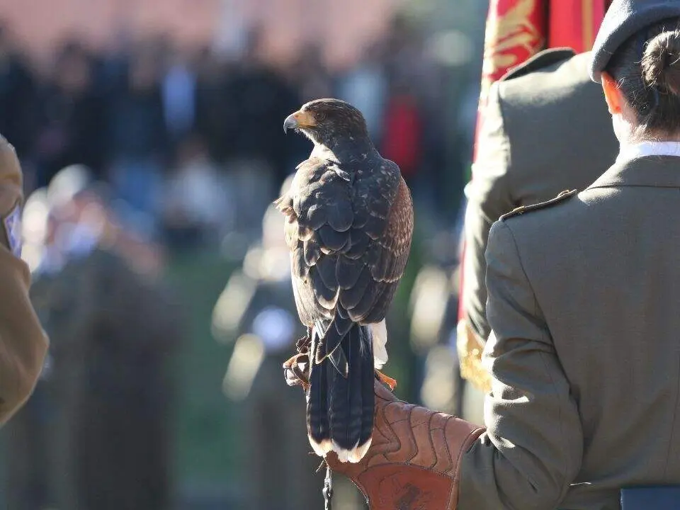 Desfile-Cabo-Noval (30)