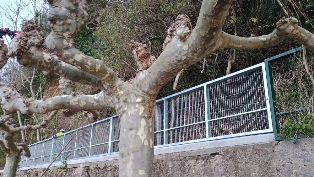 reforma-puerto-ribadesella