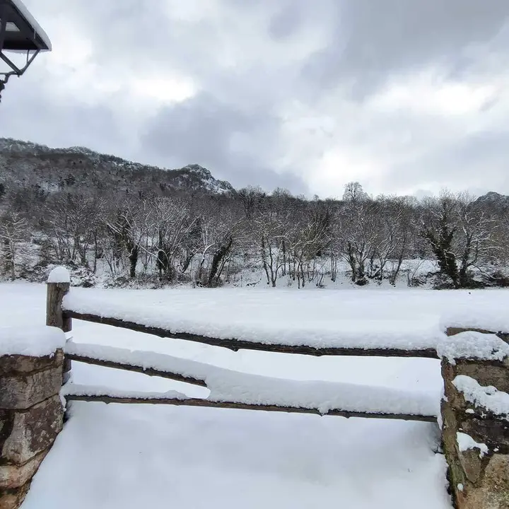 nieve-borrasca-francis-01