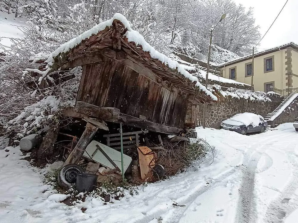 nieve-borrasca-francis-012