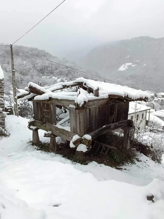 nieve-borrasca-francis-013