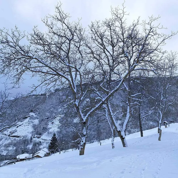 nieve-borrasca-francis-025