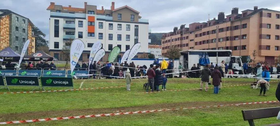 X Circuito Ciclocross Mayador. (42)