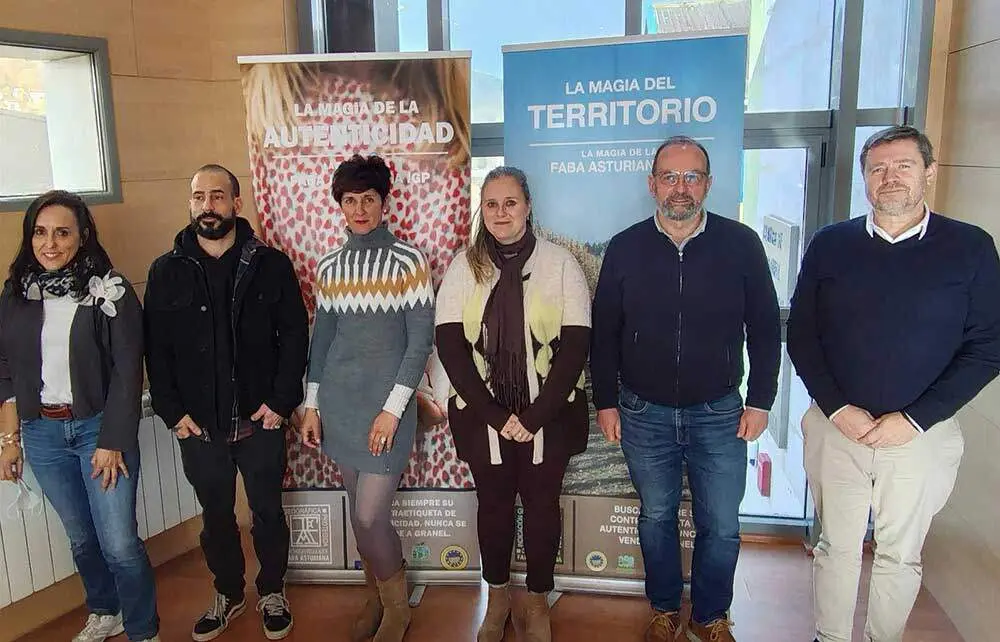 gestora-faba-asturias