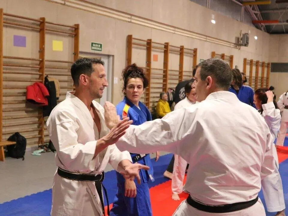 Judo-Llanera