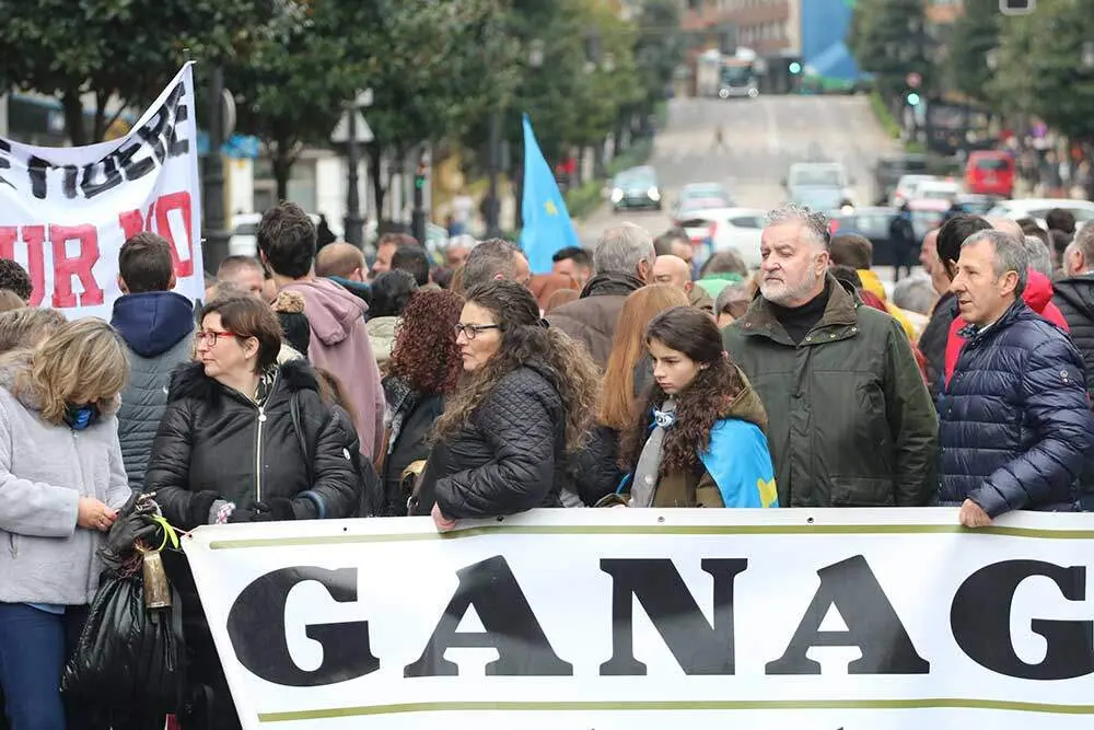 tractorada-oviedo-2026-073