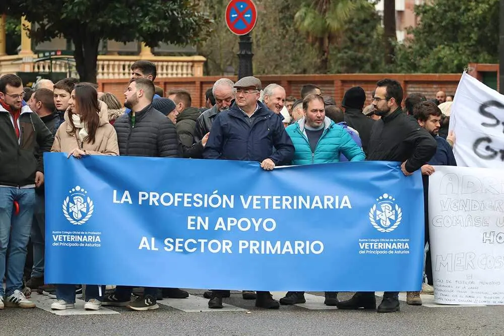 tractorada-oviedo-2026-074