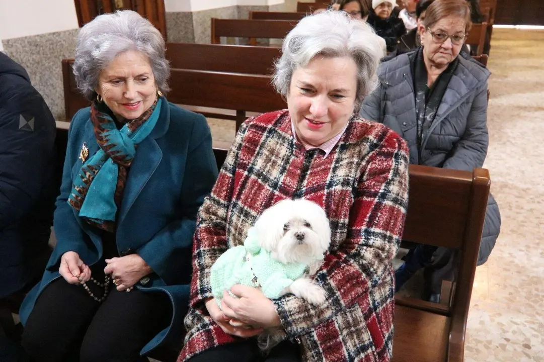 San-Antonio-Lugones (2)