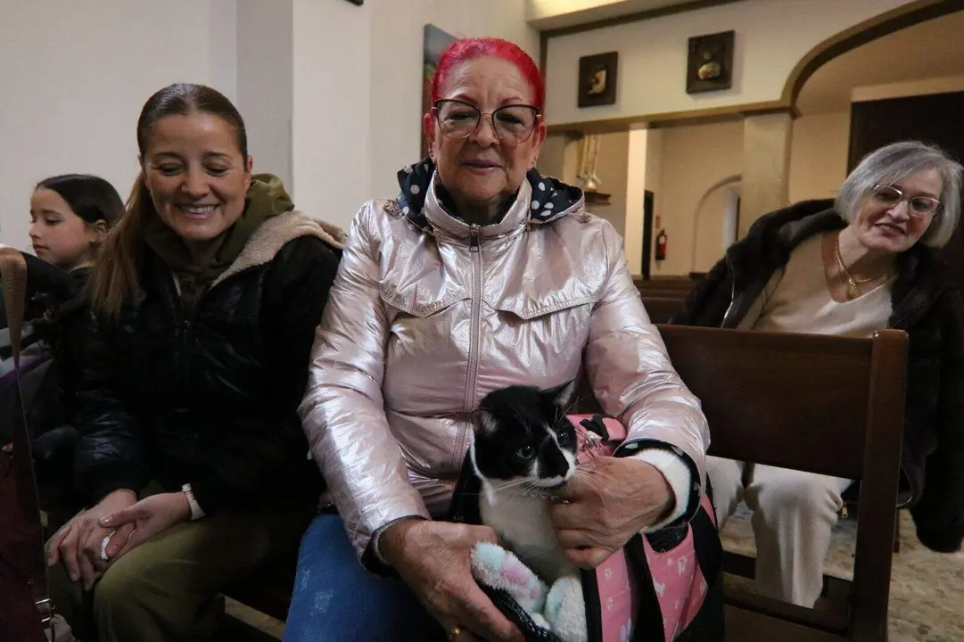 San-Antonio-Lugones (4)