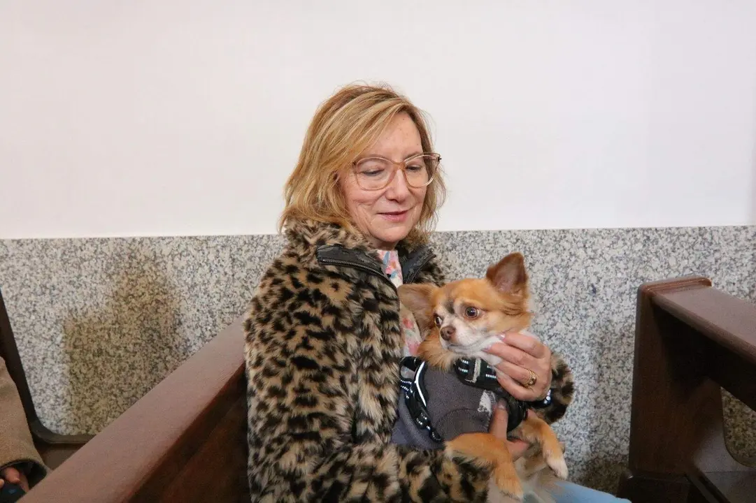 San-Antonio-Lugones (5)