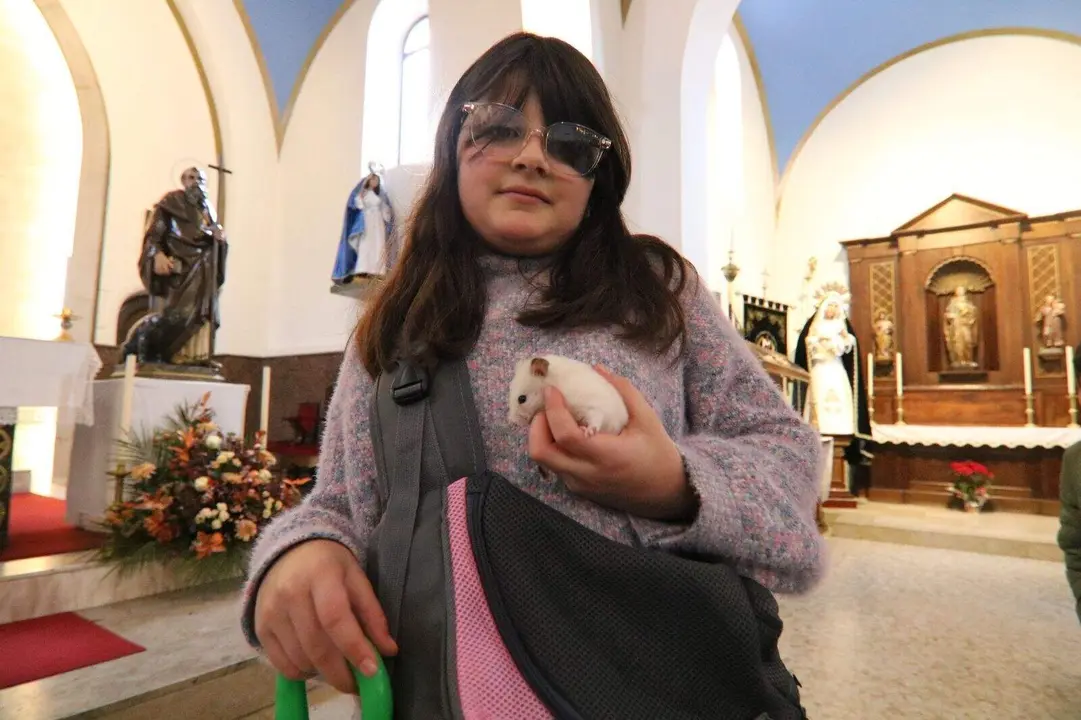 San-Antonio-Lugones (7)