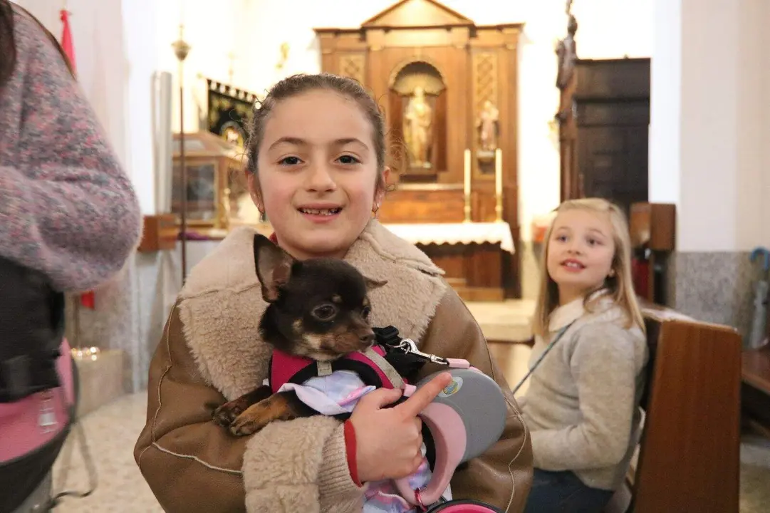 San-Antonio-Lugones (8)