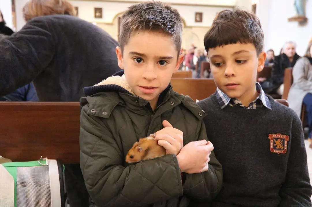 San-Antonio-Lugones (9)