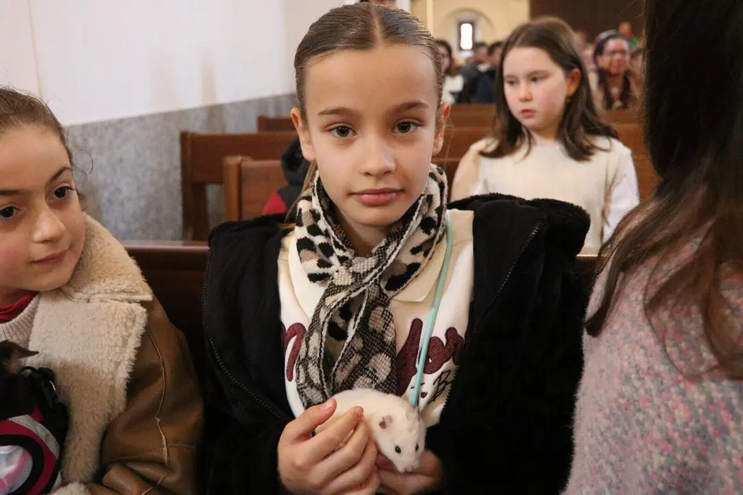 San-Antonio-Lugones (10)