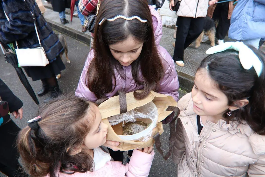 San-Antonio-Lugones (22)