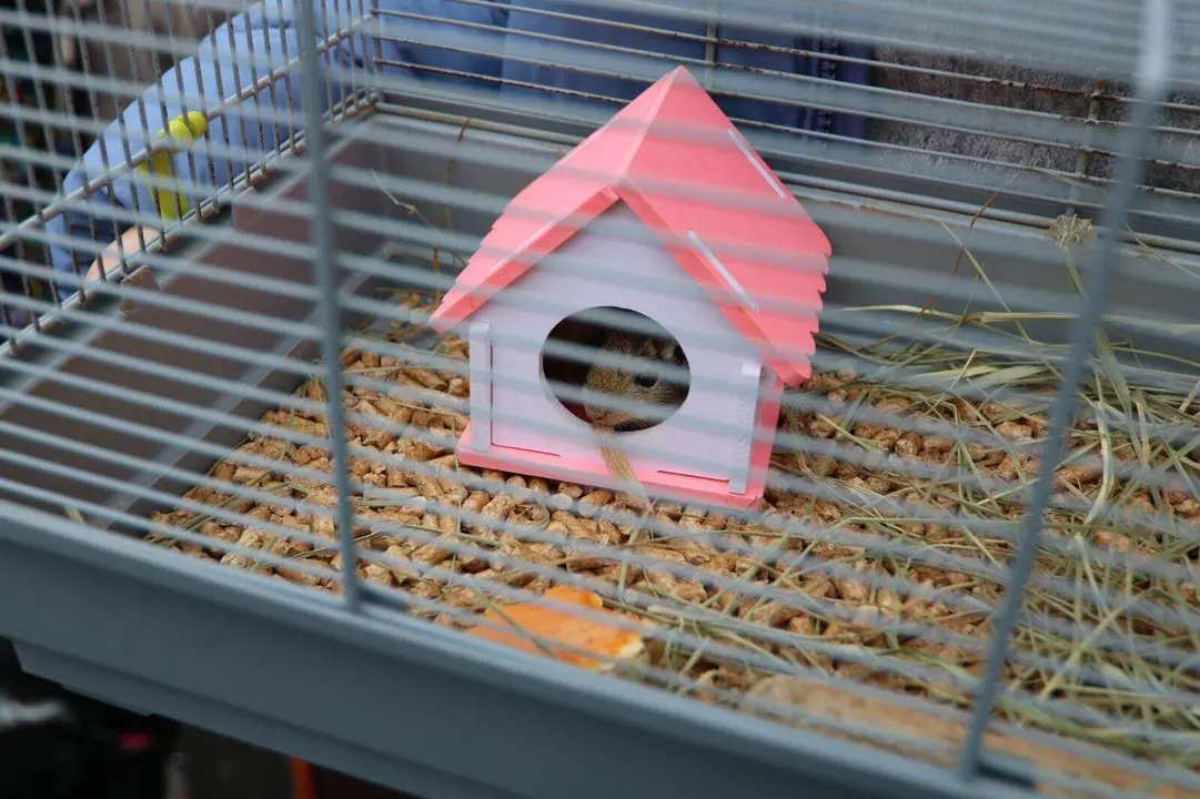 San-Antonio-Lugones (23)