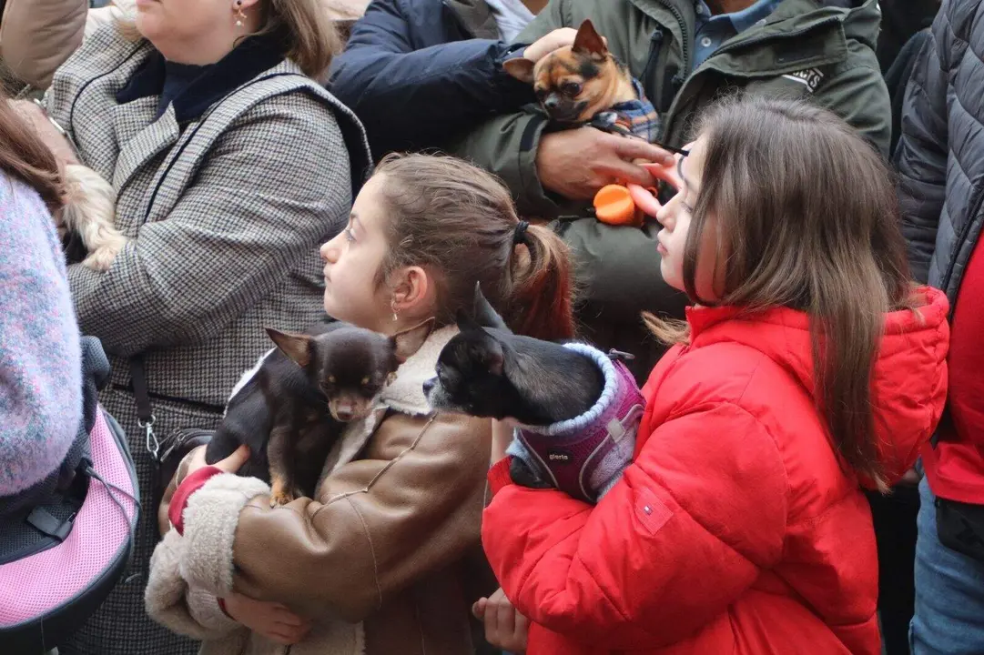 San-Antonio-Lugones (24)