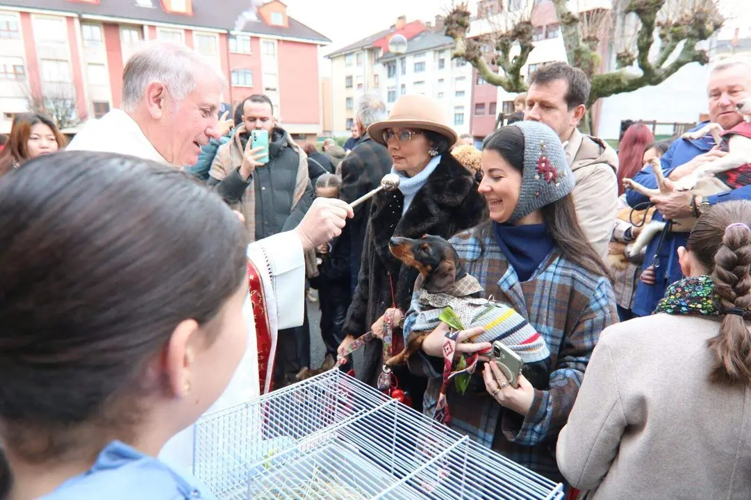 San-Antonio-Lugones (32)