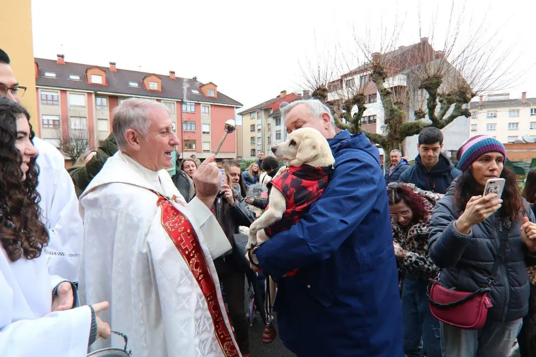 San-Antonio-Lugones (34)