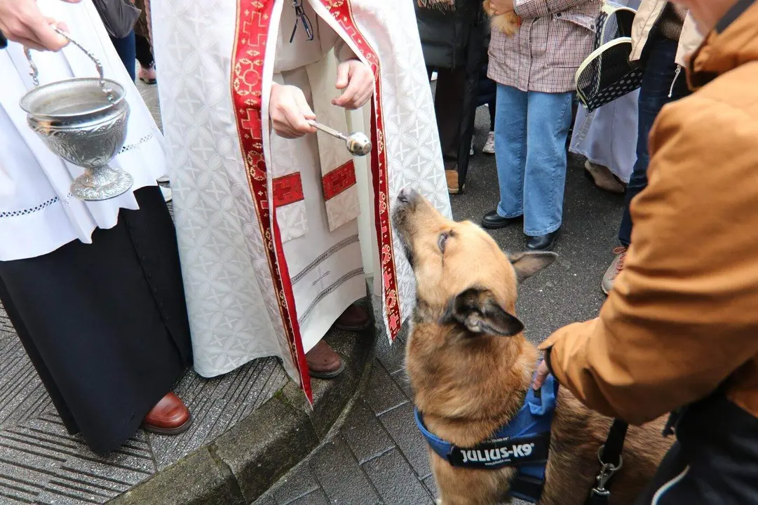 San-Antonio-Lugones (35)