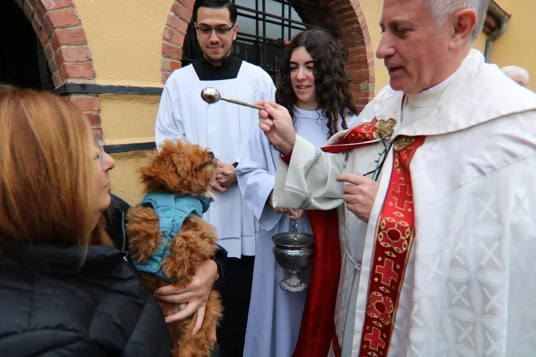 San-Antonio-Lugones (41)