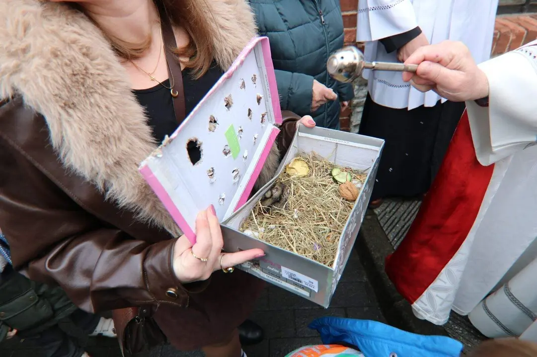 San-Antonio-Lugones (42)