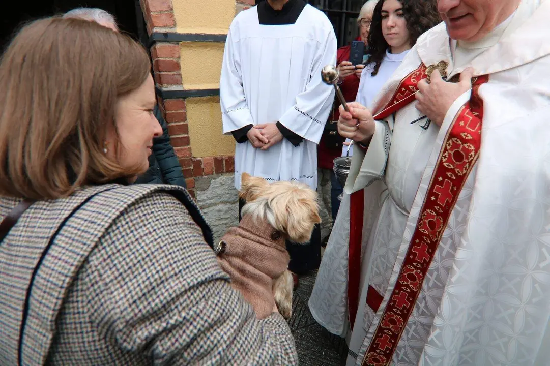 San-Antonio-Lugones (45)