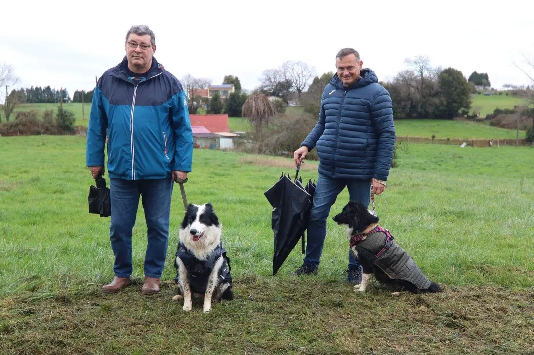 San-Antón-Robledo (4)