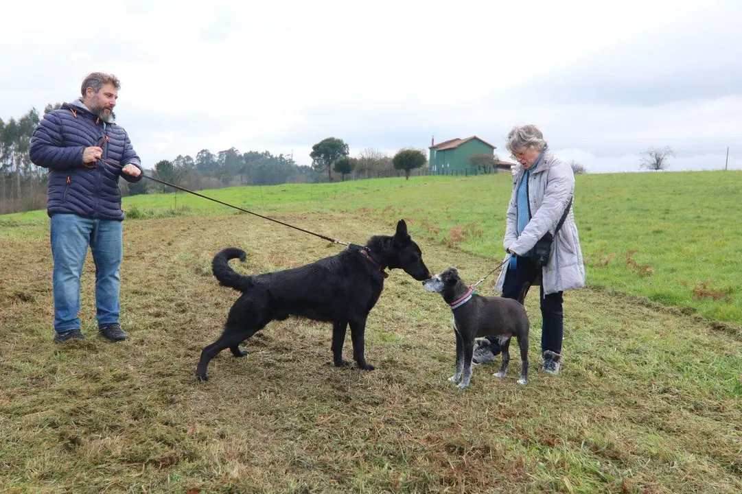 San-Antón-Robledo (6)