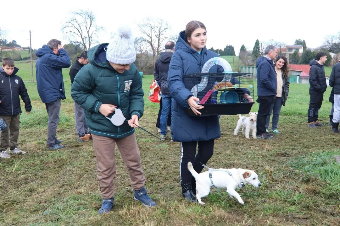 San-Antón-Robledo (7)