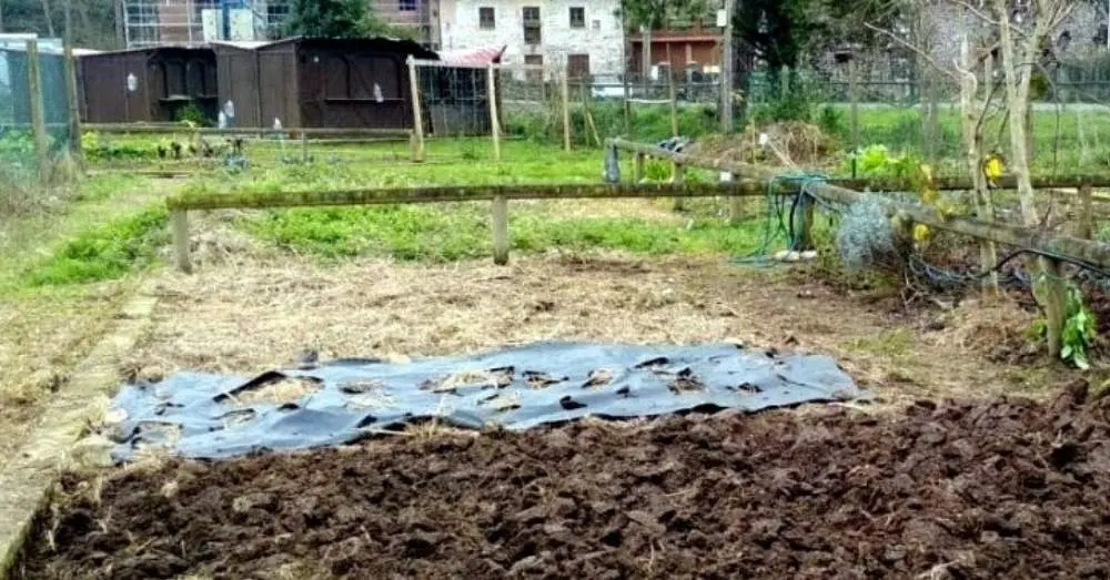 Huertos urbanos en La Llavandera, Llanes.