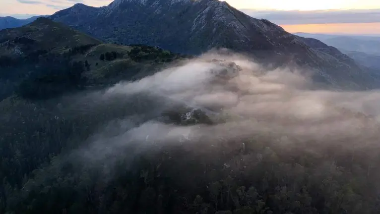 fitu-parres-asturias