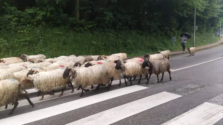 subida-reciella-picos-europa