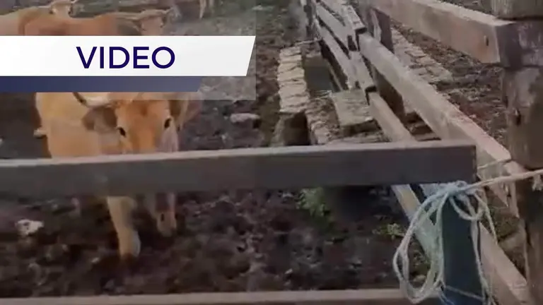 denuncia-estado-potrero-enol