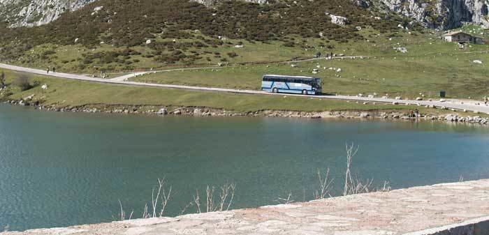 plan-transporte-lagos-covadonga.jpg