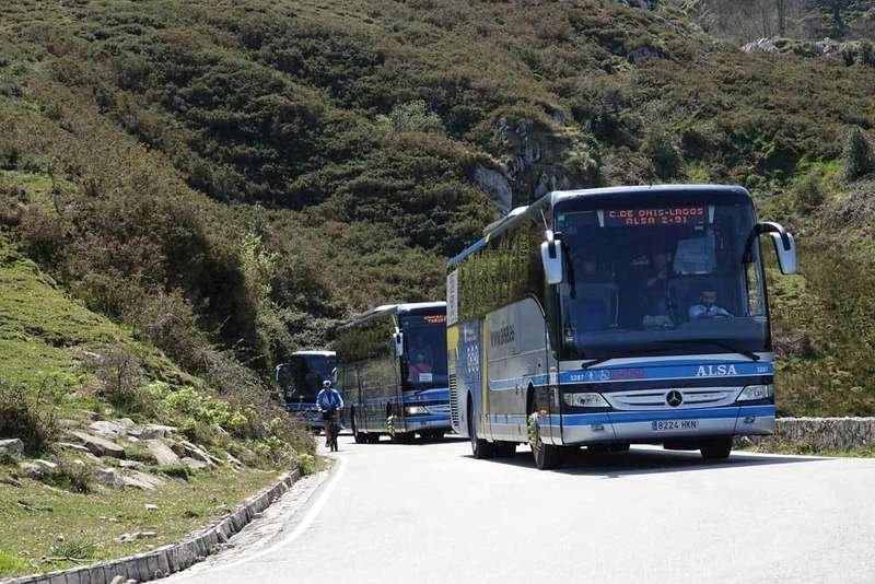 autobuses-plan-transporte-lagos-covadonga.jpg