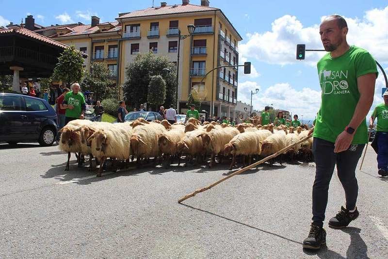 desfiles-oveyes.jpg