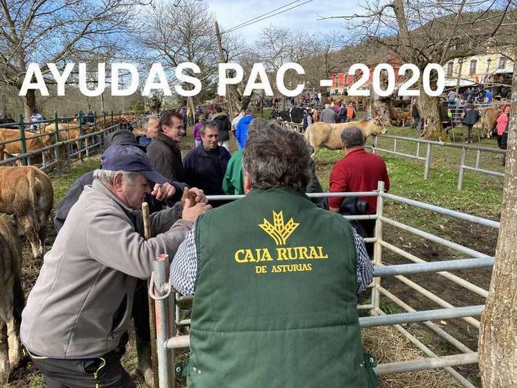 caja-rural-pac-2020