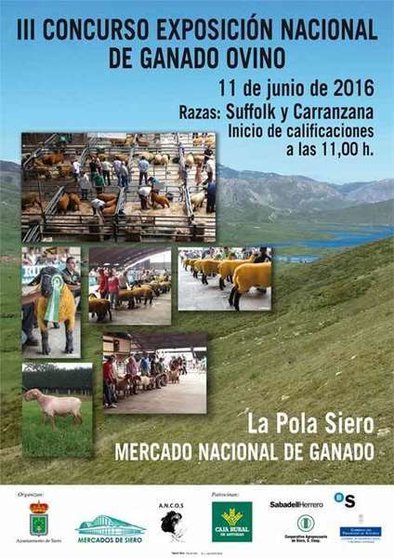3-concurso-exposicion-nacional-ganado-ovino-siero-asturias.jpg