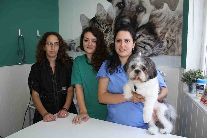 nueva veterinaria web.jpg