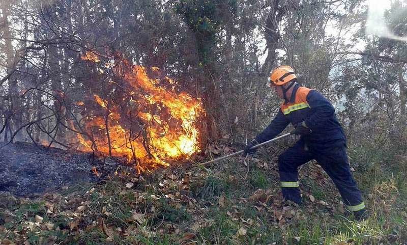 apagando-incendio-forestal-oriente-asturias.jpg