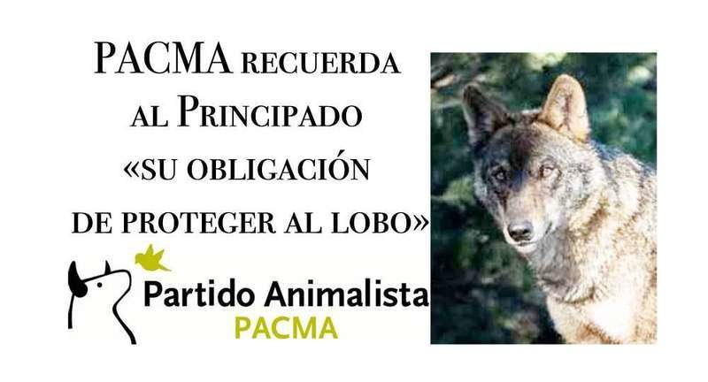 pacma-lobo-asturias