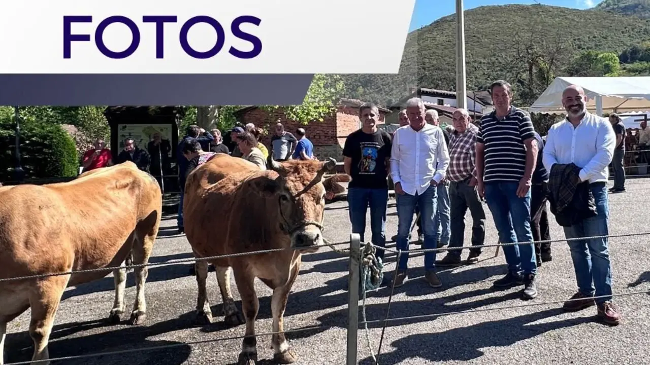 feria-santillan-1-mayo (20)