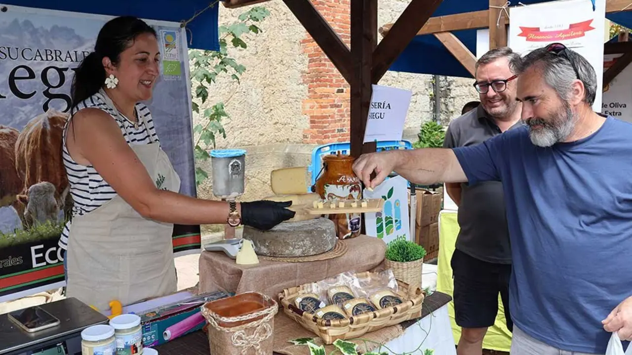 queso-panes-2025-011