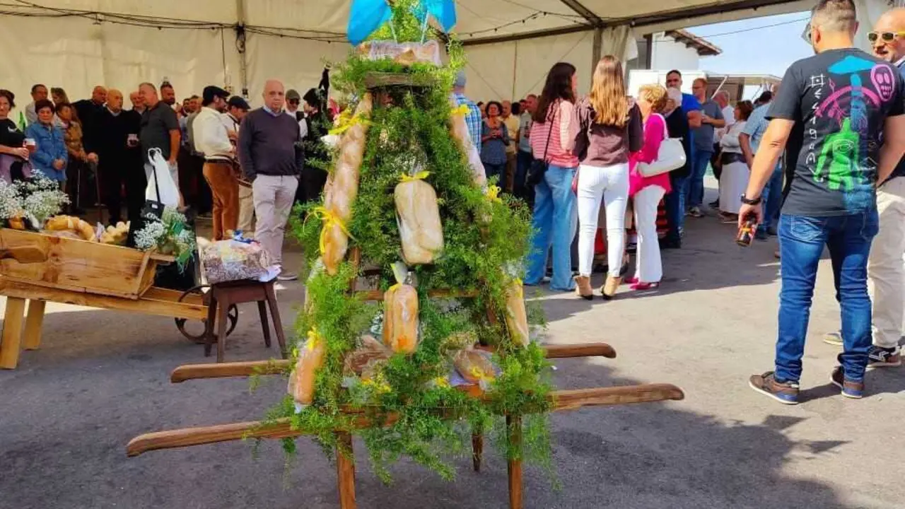 Fiestas de los Santos M&aacute;rtires9.